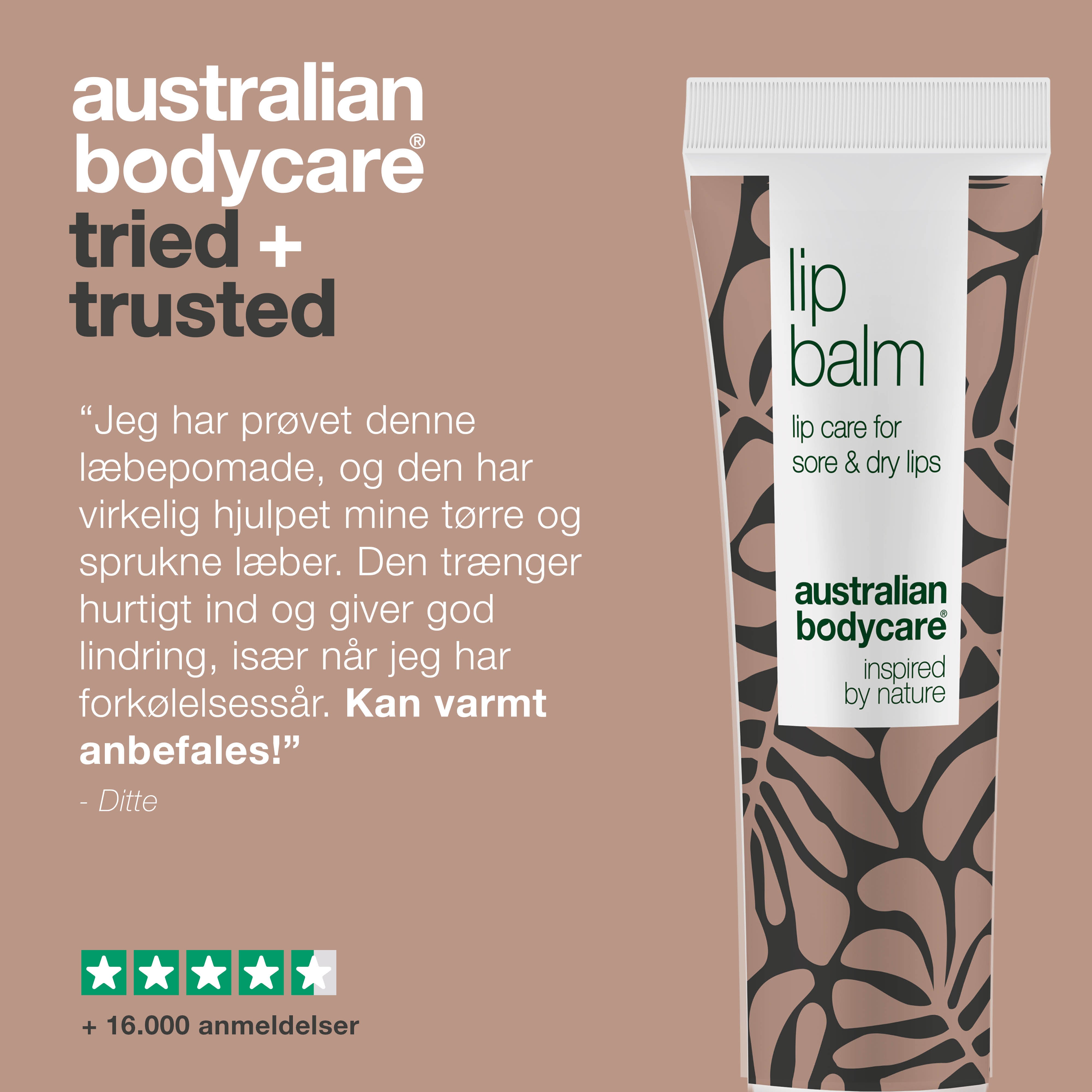 Læbepomade til pleje af tørre læber — Lip balm med Tea Tree Oil til tørre læber og pleje ved forkølelsessår